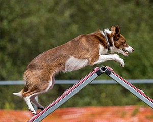 20200819-2391.jpg