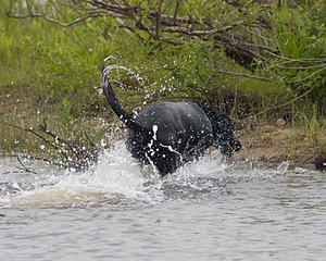 20080531-HRW-1041.jpg