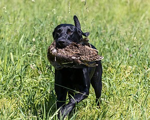 20210606-SEAL-1592.jpg