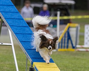20230916-PVKC-0105.jpg