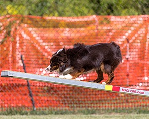 20200819-2201.jpg