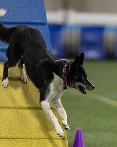 Wynnie Allen