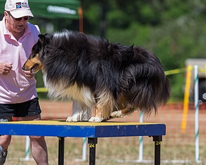 20160619-CCKC-1578.jpg
