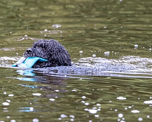 20210912-MWD-0199.jpg