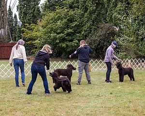 20210827-BD-0666.jpg