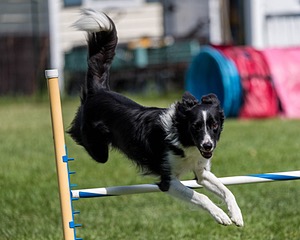 20200819-2382.jpg