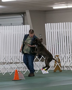 20190514-RA-0279.jpg