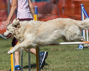 20200819-2445.jpg