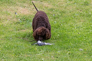 20190512-BD-0031.jpg
