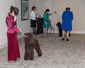 20190514-TEN-0083.jpg
