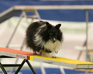 20150321-LEAP-1666.jpg