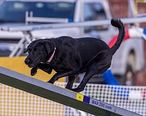 20230916-PVKC-1732.jpg
