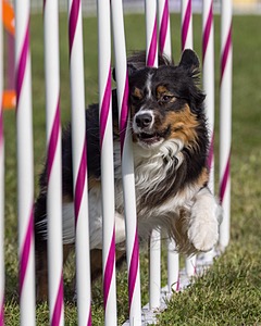 20230916-PVKC-1385.jpg