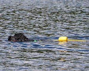 20170820-CWD-0085.jpg