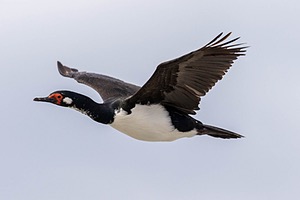20191214-0311.jpg
