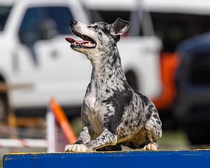 20230917-PVKC-2479.jpg