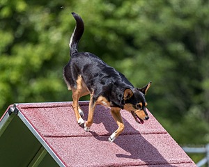 20200819-2156.jpg