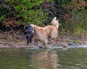 20161008-WCXW-0019.jpg
