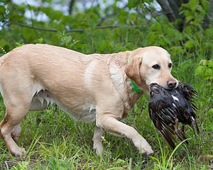 20080601-SRW-1112.jpg