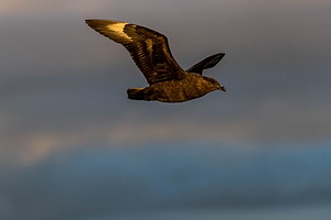 20191212-0895.jpg