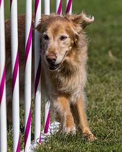 20230916-PVKC-1296.jpg