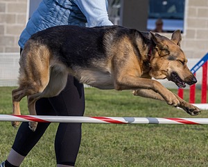 20230916-PVKC-1687.jpg