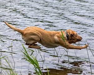 20170603-SHRW-1925.jpg