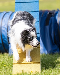 20160514-NEAT-1036.jpg