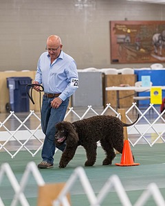 20190514-RA-0266.jpg