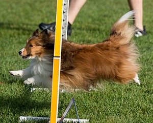 20200819-0032.jpg