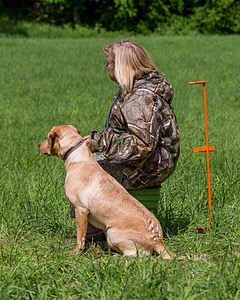 20170603-SHRL-1039.jpg