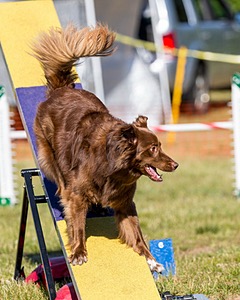 20180617-0224.jpg
