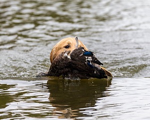 20161008-WCXW-0051.jpg