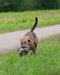 20130713-MHB2-0144.jpg