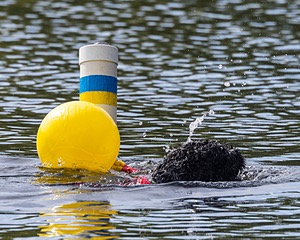 Swizzle Kennedy