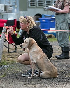 20130713-MHB2-0260.jpg