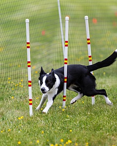 20160515-NEAT-0663.jpg
