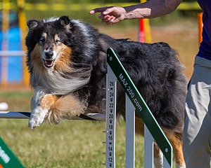 Darry Zimmermann