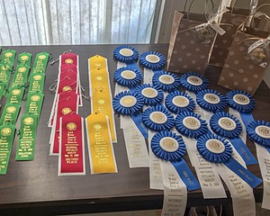 20190513-C-0006.jpg