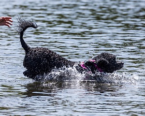 Tango Abbruzzese