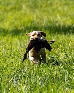 20200809-SHL-0024.jpg