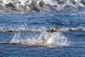 20191218-1721.jpg