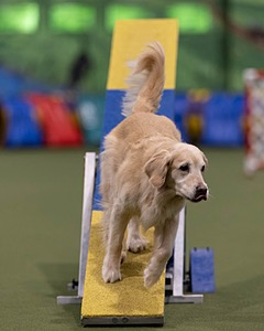 20260221-0617.jpg