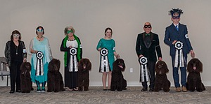 20190514-TEN-0110.jpg