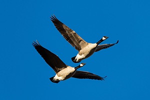 20151206-3612.jpg