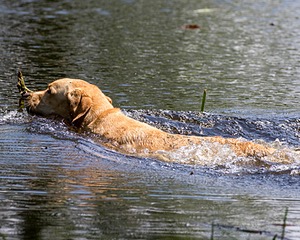 20200809-SHW-0032.jpg