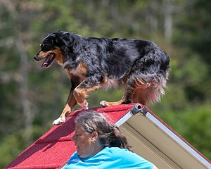 20150613-CCKC-0132.jpg