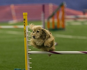 20150321-LEAP-1282.jpg