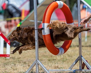 20160619-CCKC-1329.jpg