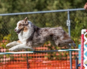 20200819-2680.jpg